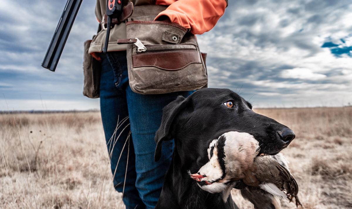 Hunter with a leather game bag pouch set with a dog holding a bird in its mouth