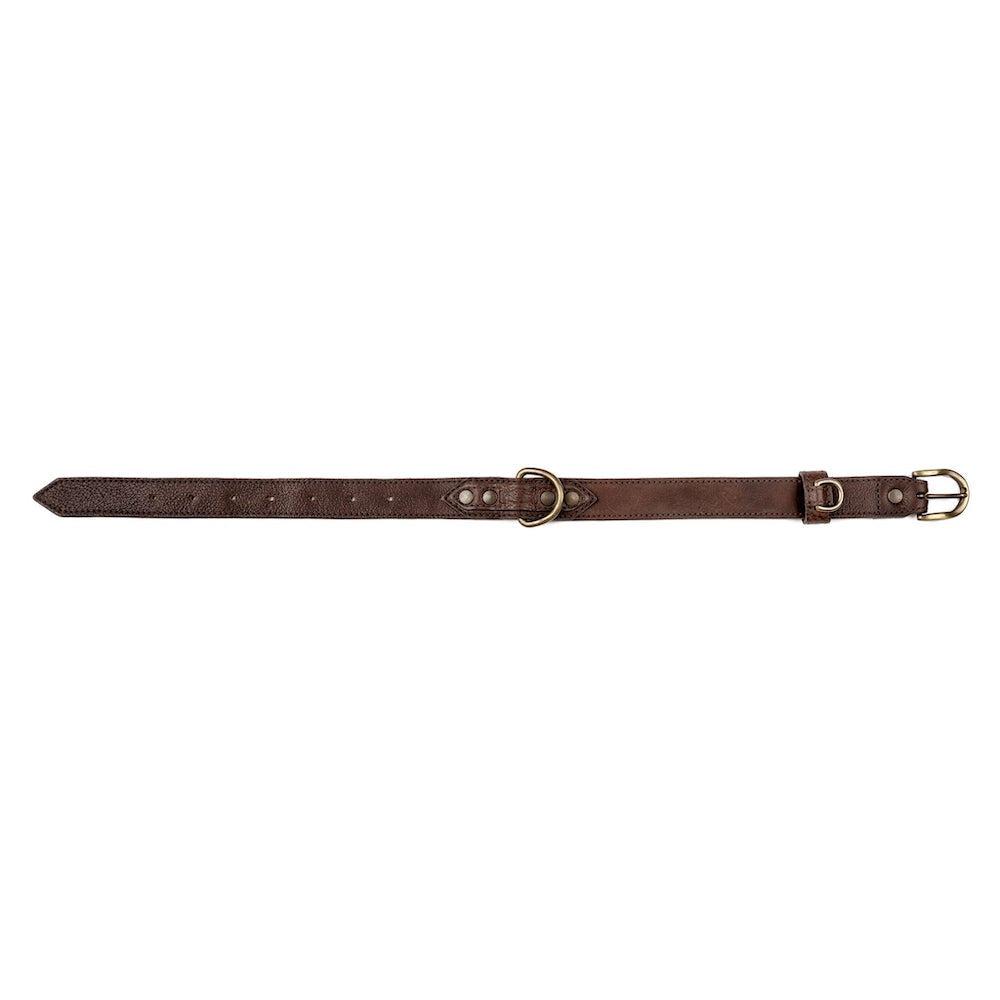 Campaign Leather Dog Collar-Hunting & Outdoor > Pet Collar & Leash > Leather-Smoke-Mission Mercantile Leather Goods